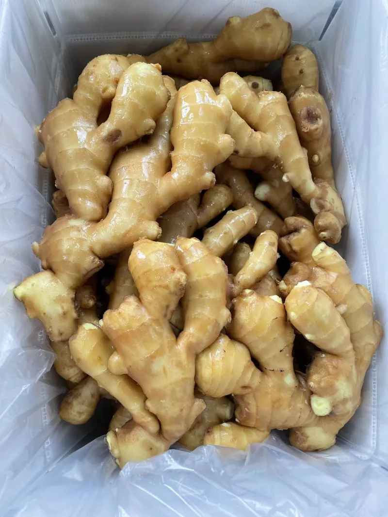 China's ginger export market