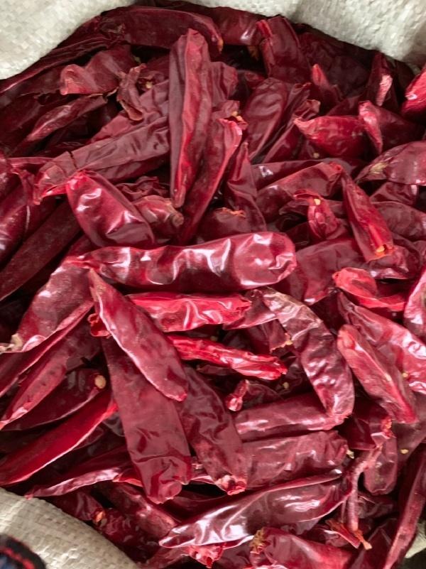 China Chilli Supplier: Your Trusted Global Spice Partner