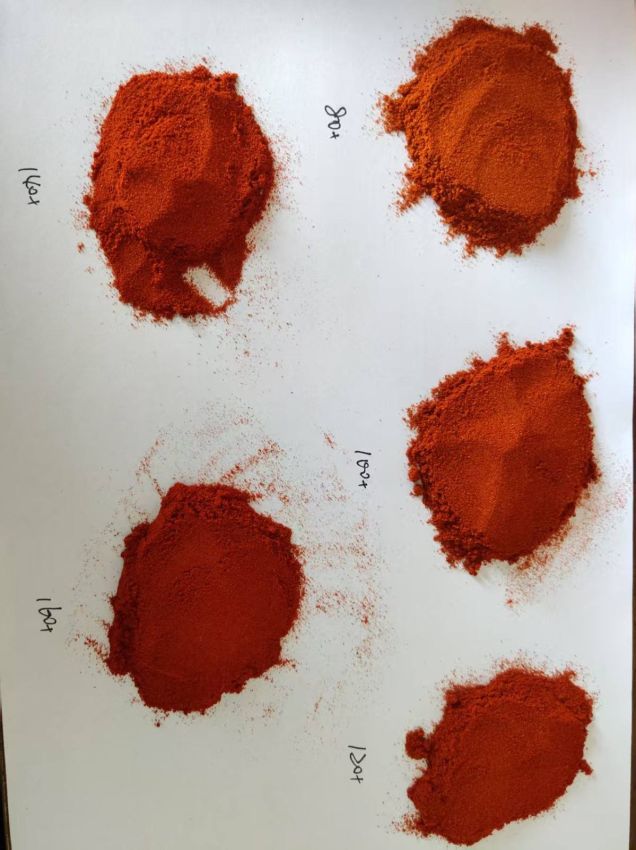 Premium Paprika Powder Direct from China Factory????